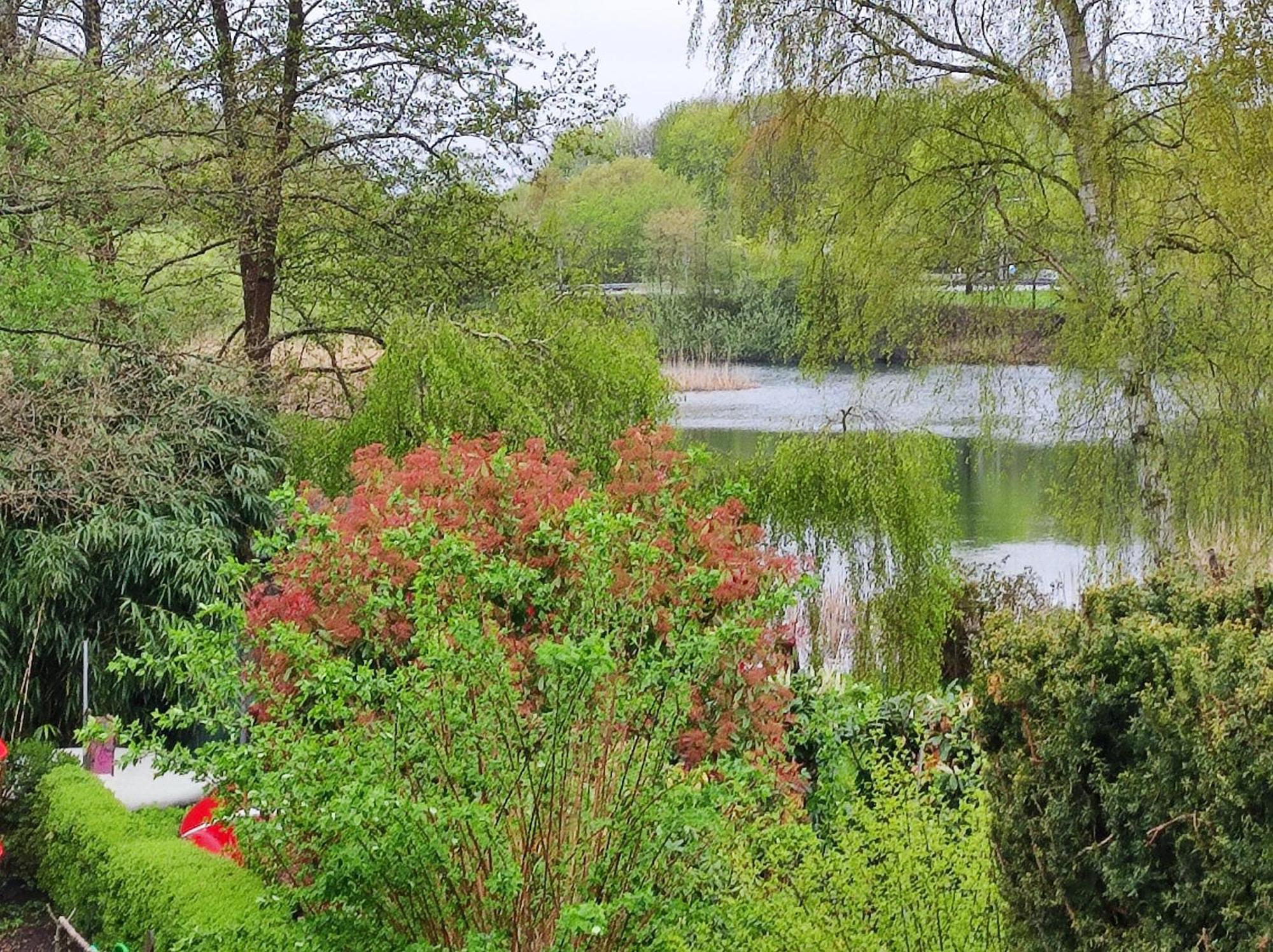 Ferienwohnungen Am Schwanensee Plön Exterior foto